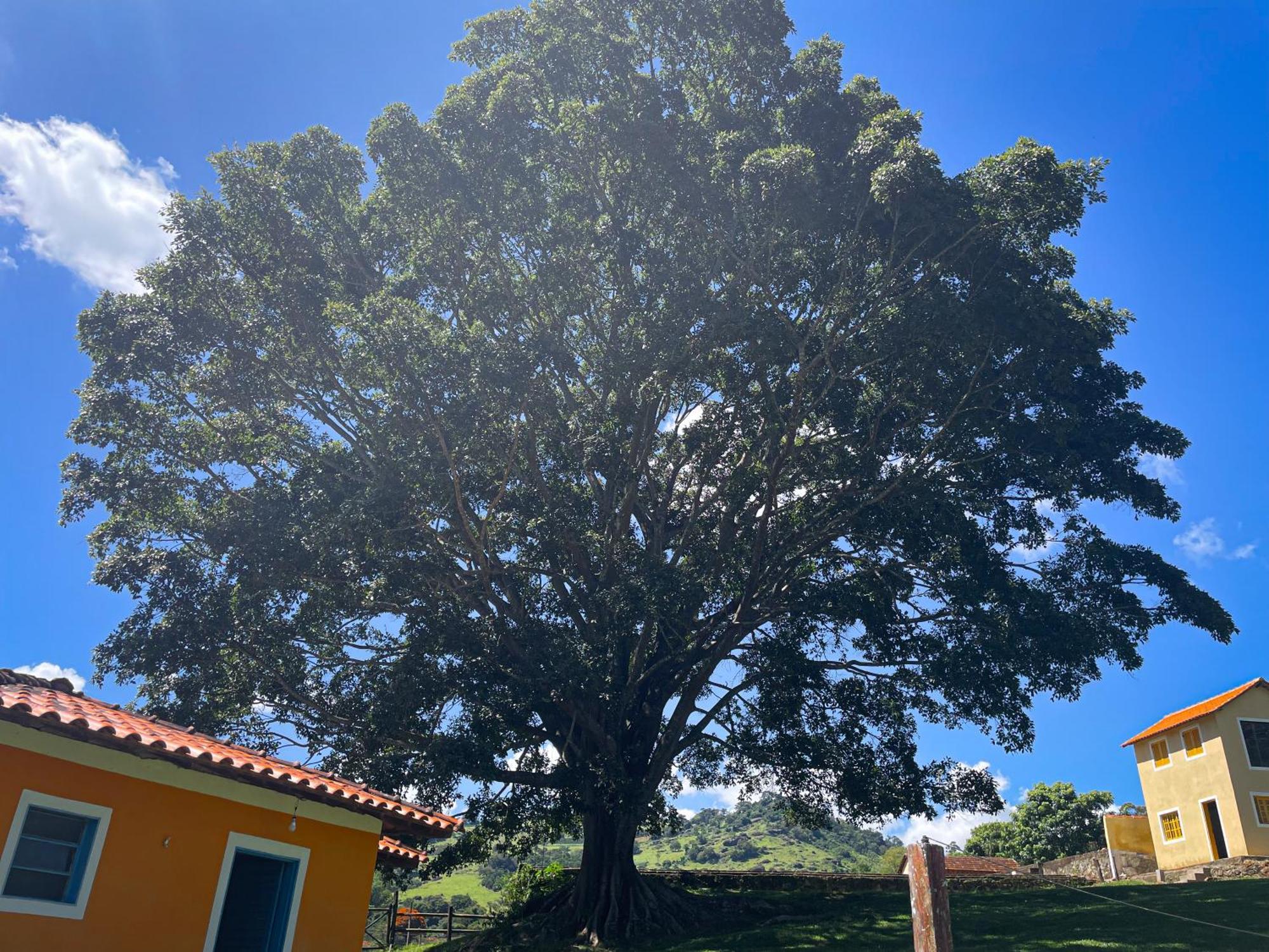 Fortuna Casas De Campo 소코로 외부 사진